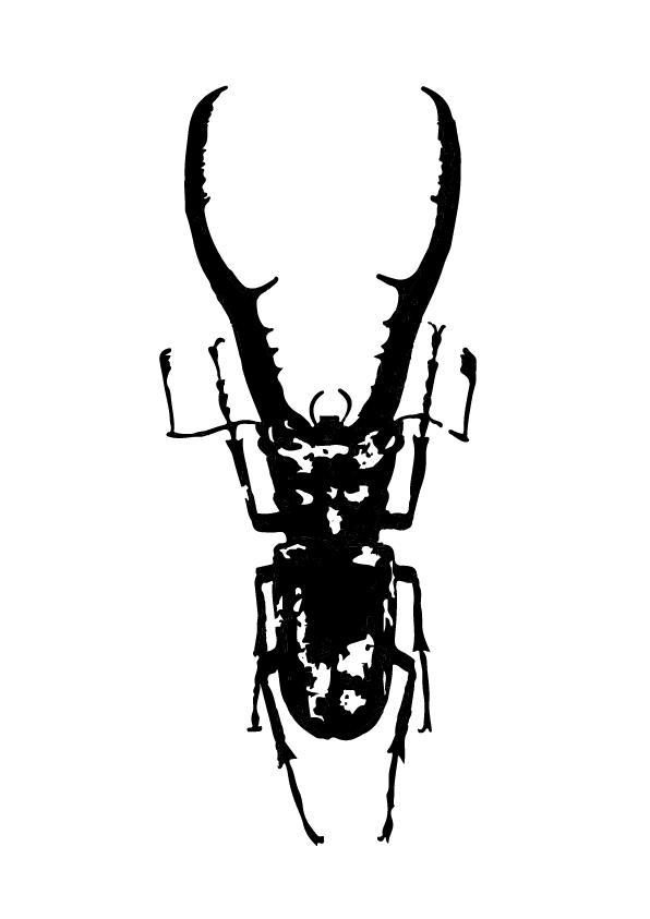 Beetle flash design