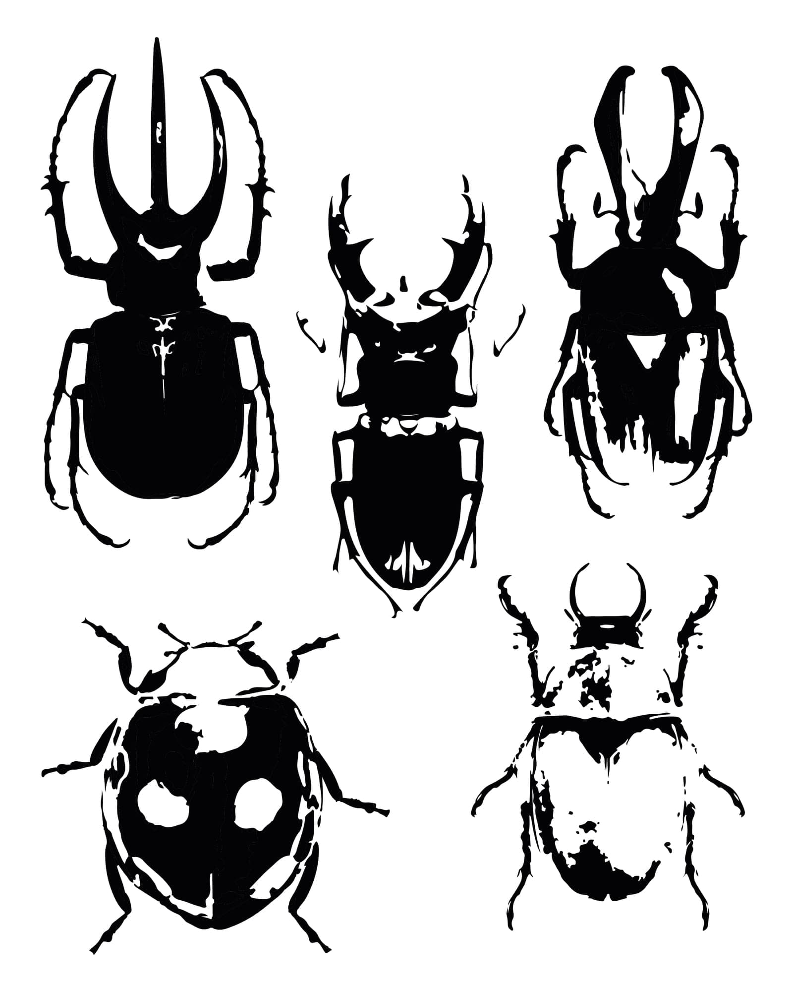 Beetles flash design