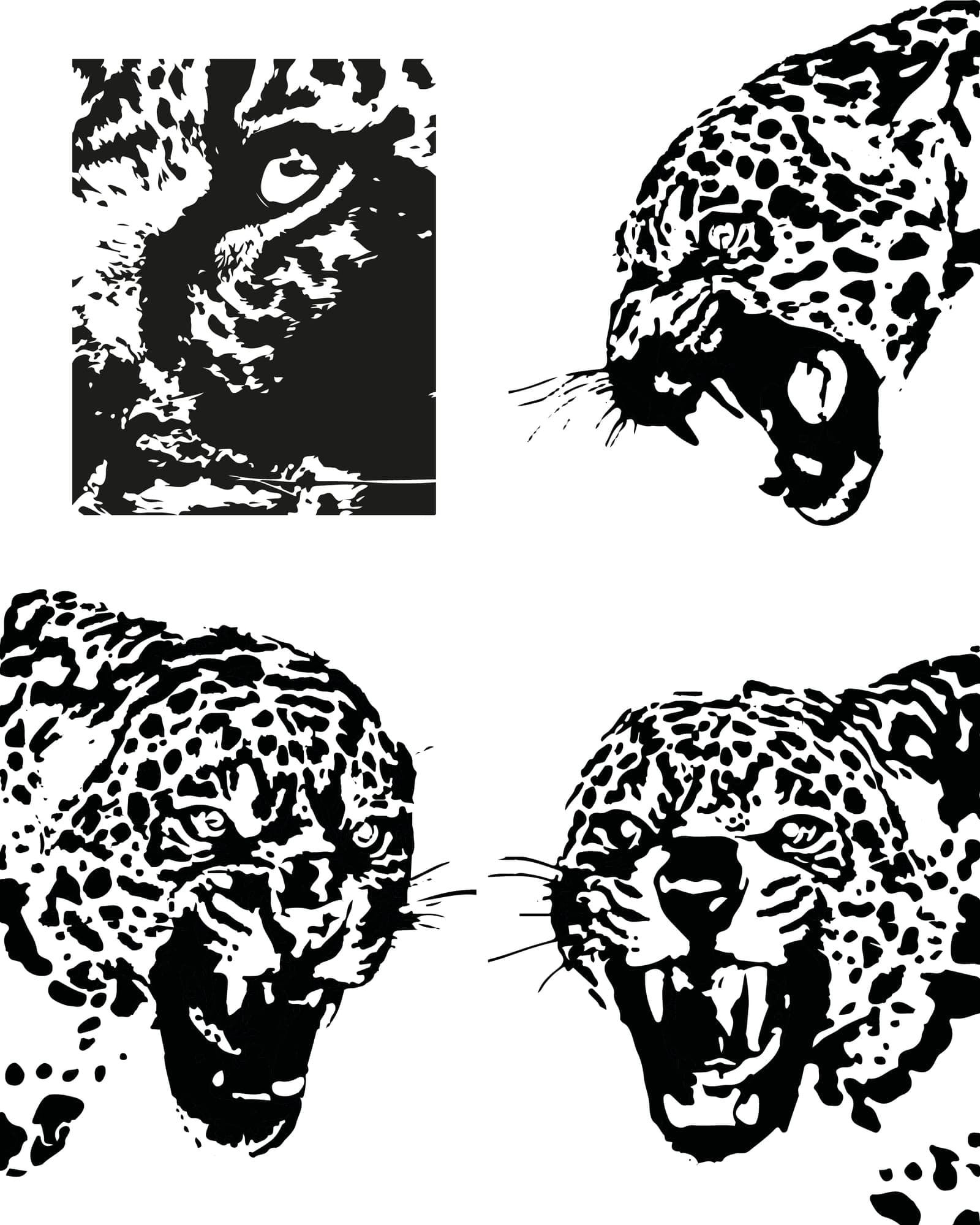 Cheetah flash design