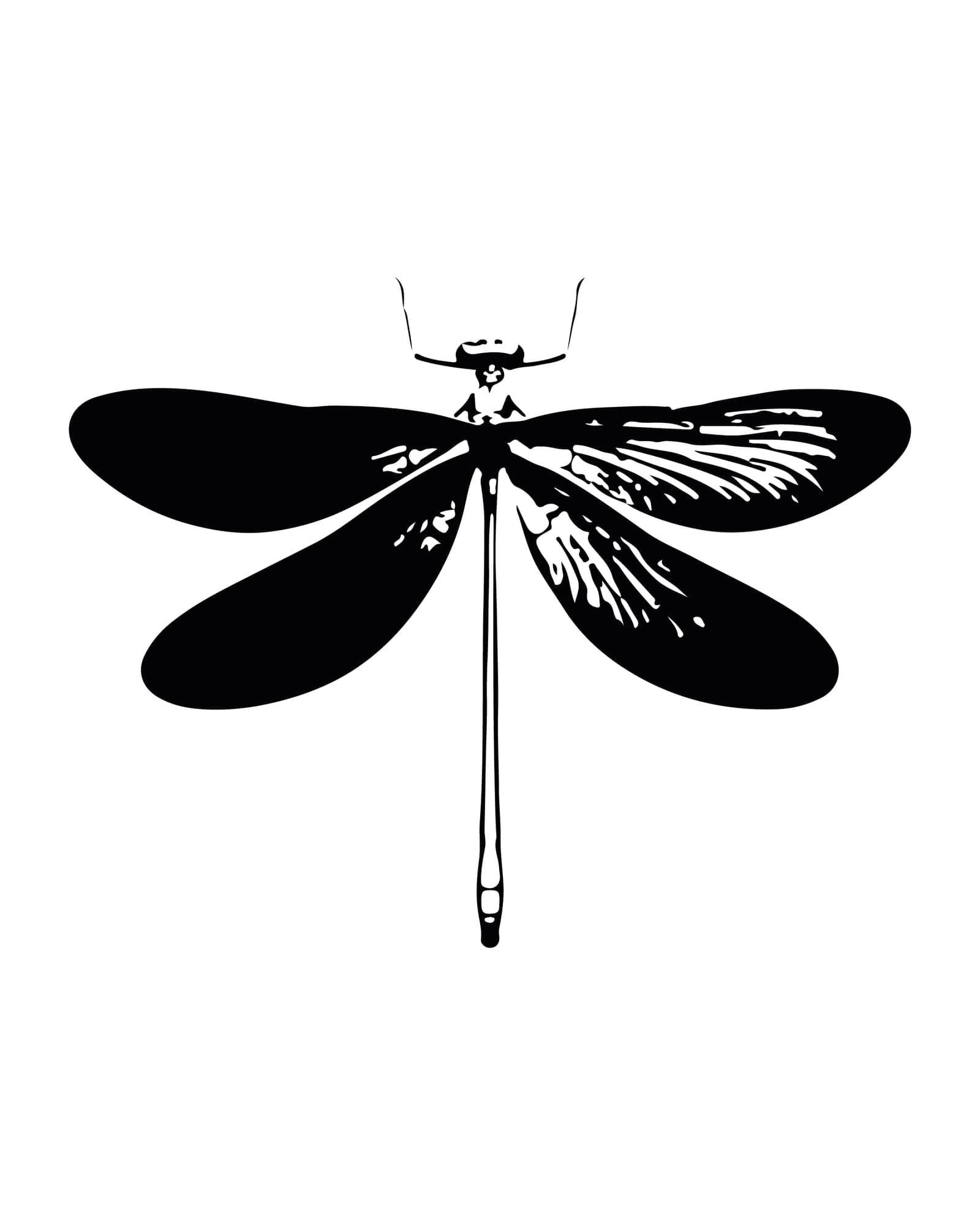Dragon Fly flash design