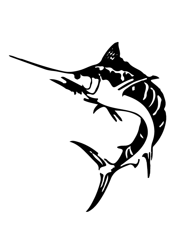 Shark 2 flash design