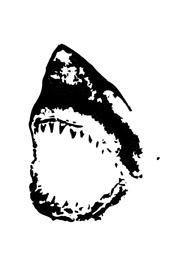 Shark flash design