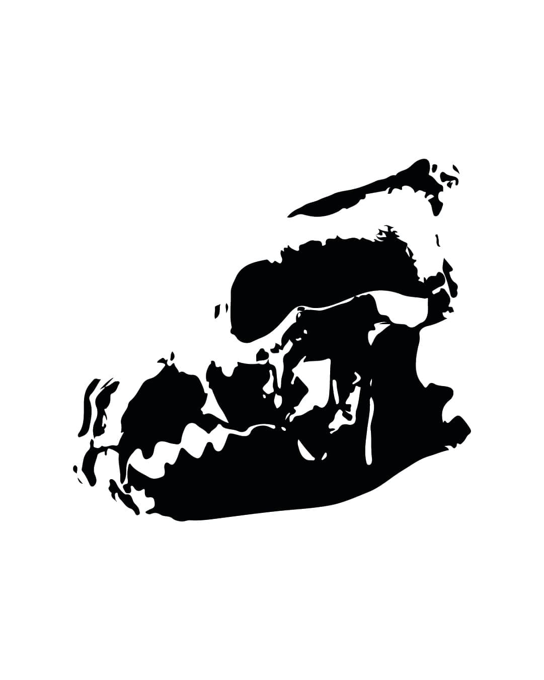 Skeleton 2 flash design