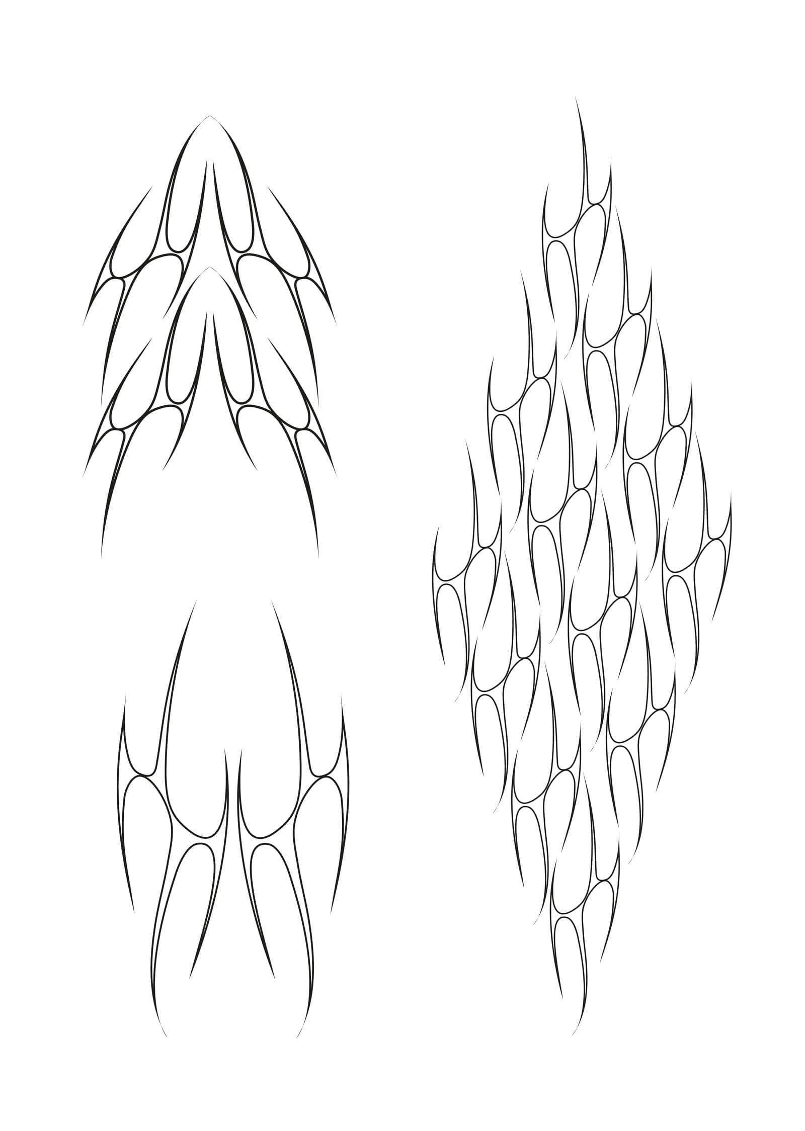Star 5 flash design