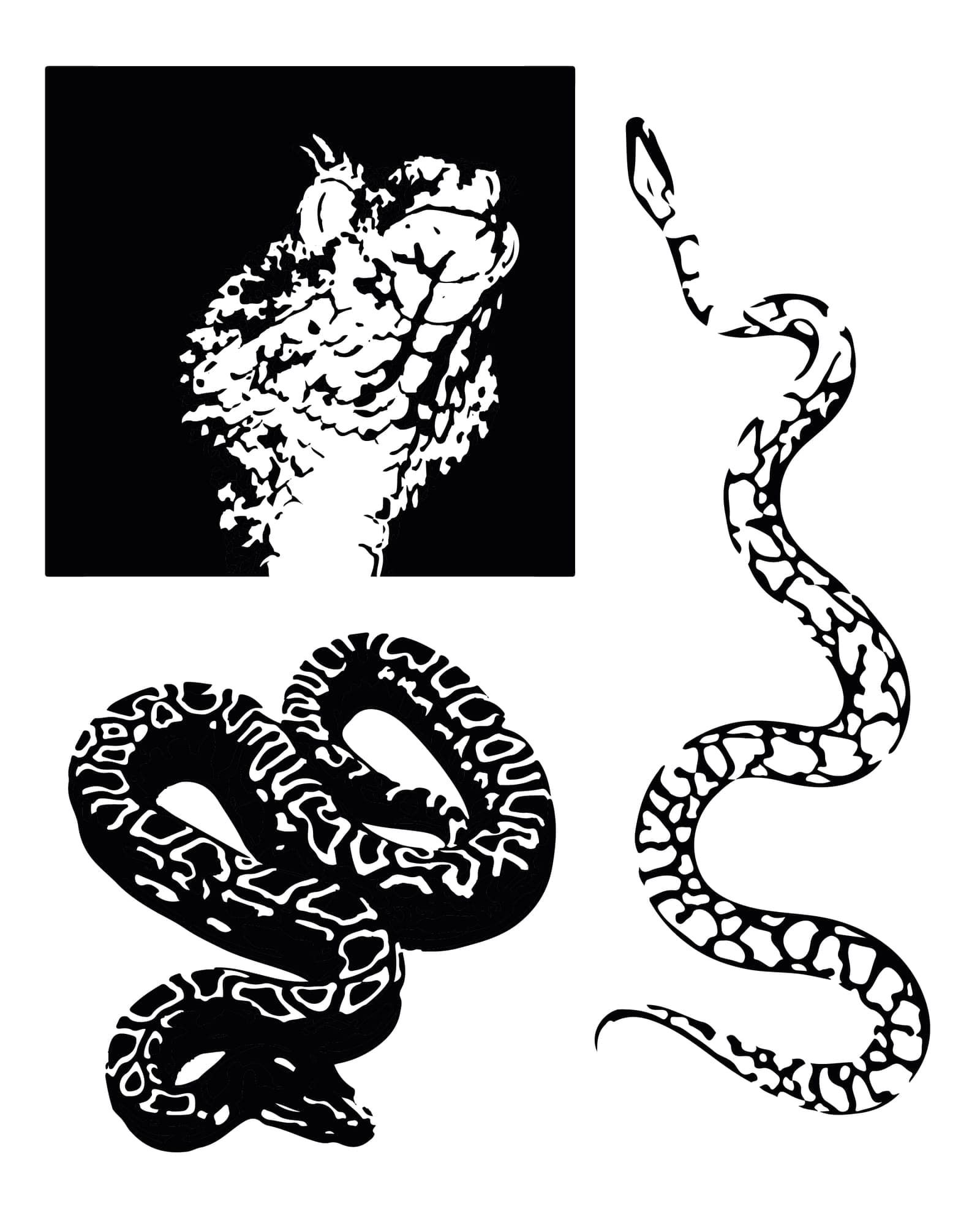 Snakes 2 flash design
