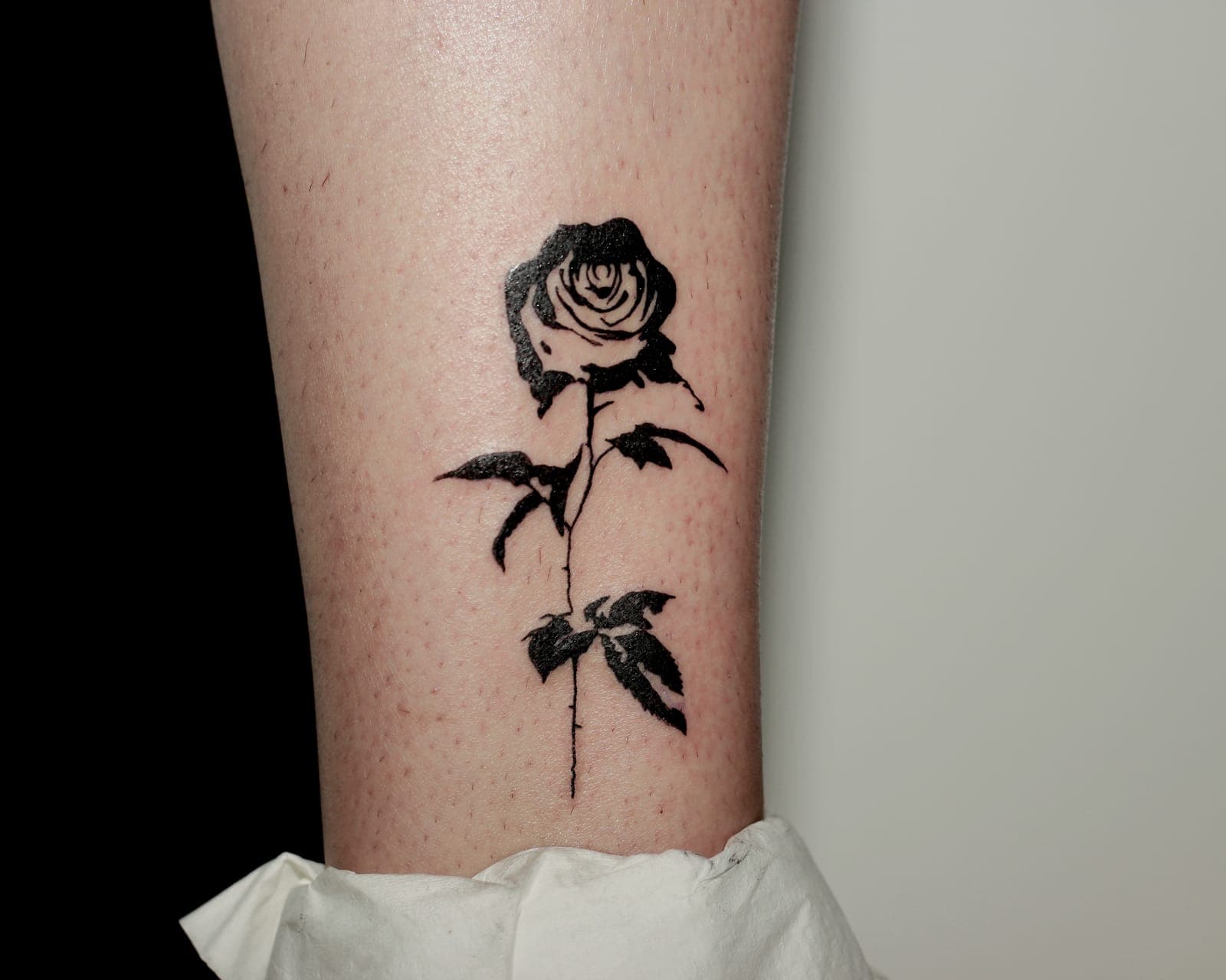 Rose tattoo